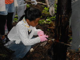 木を伐採する子供達