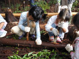 木の皮むき体験をする子供達