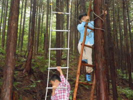 山中にかけられたハシゴで遊ぶ子供達