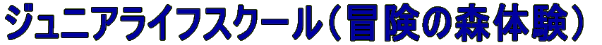WjACtXN[i`̐X̌j 