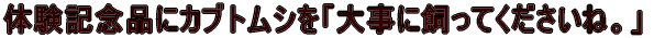 ut̕qǂցA̐B @@@@@@@ @@@@@@@@΂邼I