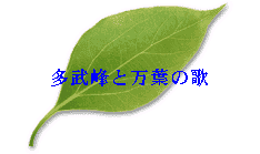 Ɩt̉